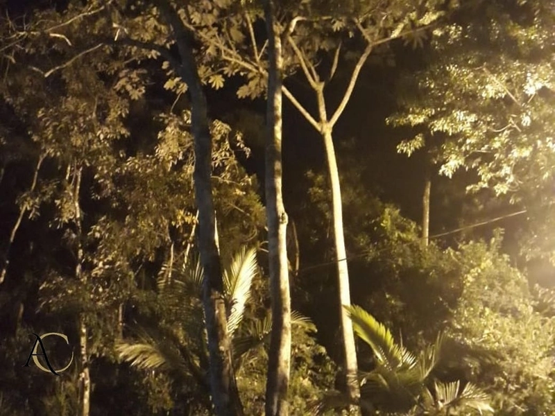 🌱 Casa a venda em Ipiabas, 3 Chalés Completos.: 78ª foto da galeria de imagens do imóvel
