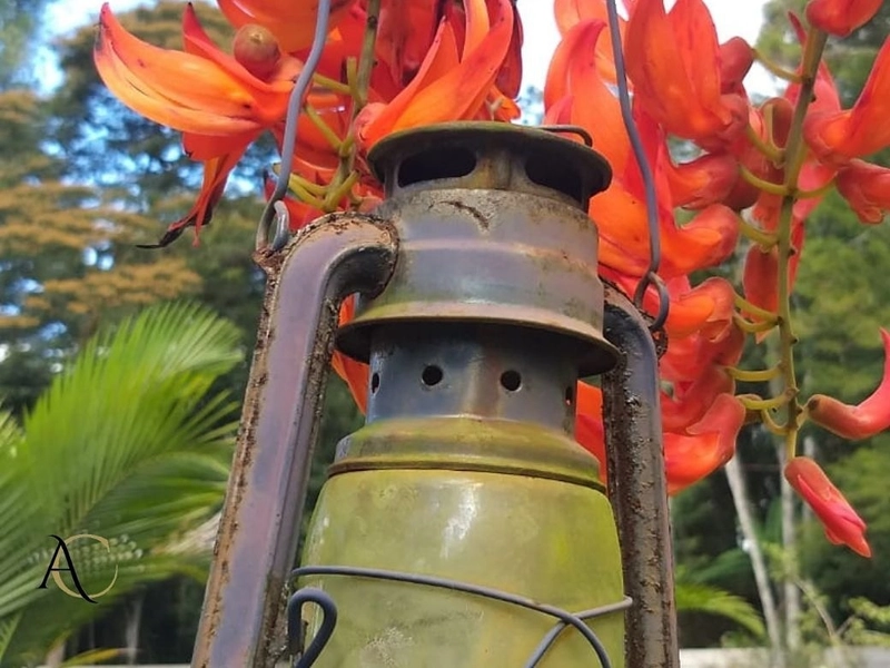 🌱 Casa a venda em Ipiabas, 3 Chalés Completos.: 50ª foto da galeria de imagens do imóvel