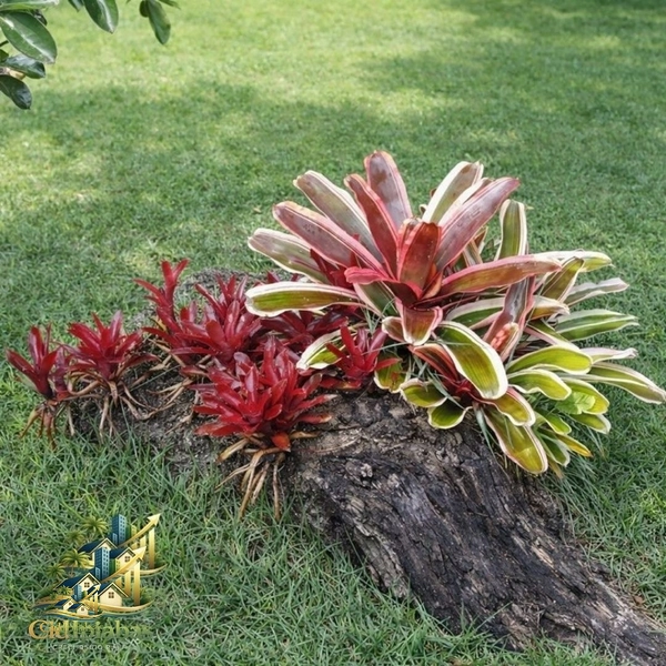 🌿 Chalés à Venda no Centro Histórico de Ipiabas – Renda Imediata + Estilo de Vida: 48ª foto da galeria de imagens do imóvel