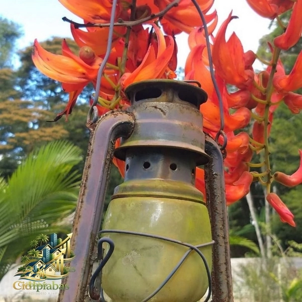 🌿 Chalés à Venda no Centro Histórico de Ipiabas – Renda Imediata + Estilo de Vida: 22ª foto da galeria de imagens do imóvel