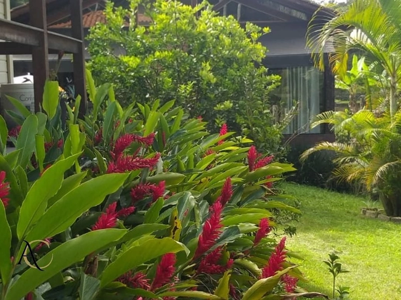 🌱 Casa a venda em Ipiabas, 3 Chalés Completos.: 51ª foto da galeria de imagens do imóvel