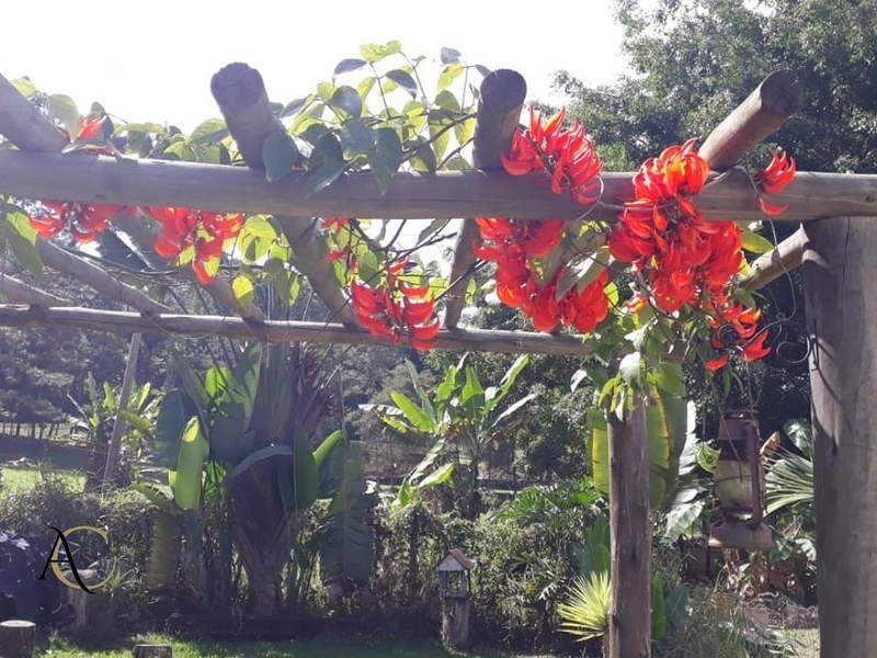 🌱 Casa a venda em Ipiabas, 3 Chalés Completos.: 68ª foto da galeria de imagens do imóvel