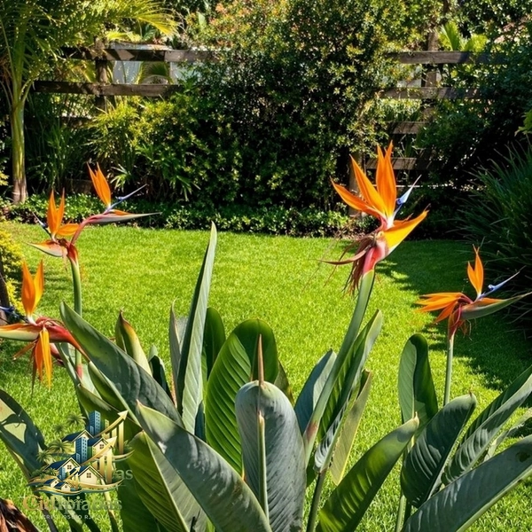 🌿 Chalés à Venda no Centro Histórico de Ipiabas – Renda Imediata + Estilo de Vida: 28ª foto da galeria de imagens do imóvel