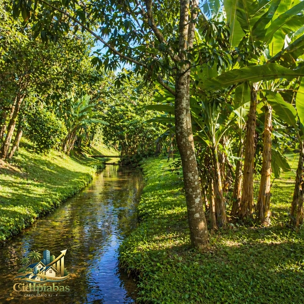 🌿 Mini Chácara à Venda em Ipiabas – Seu Refúgio com Lagos e Natureza Viva: 14ª foto da galeria de imagens do imóvel