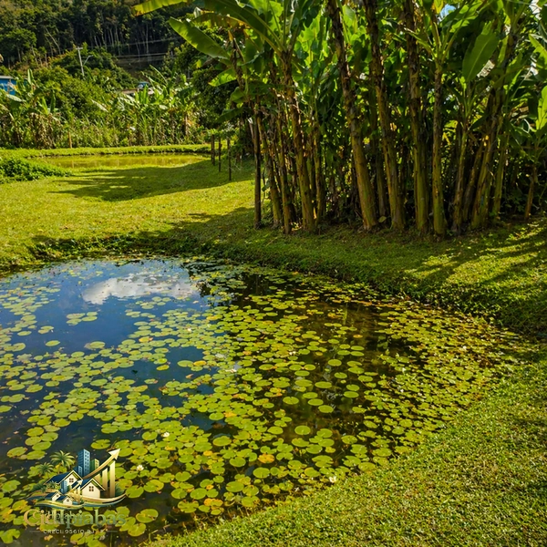 🌿 Mini Chácara à Venda em Ipiabas – Seu Refúgio com Lagos e Natureza Viva: 21ª foto da galeria de imagens do imóvel