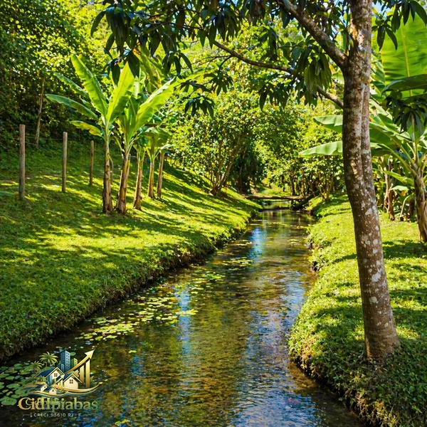 🌿 Mini Chácara à Venda em Ipiabas – Seu Refúgio com Lagos e Natureza Viva: 13ª foto da galeria de imagens do imóvel