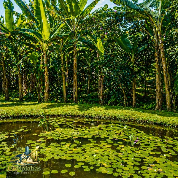 🌿 Mini Chácara à Venda em Ipiabas – Seu Refúgio com Lagos e Natureza Viva: 22ª foto da galeria de imagens do imóvel