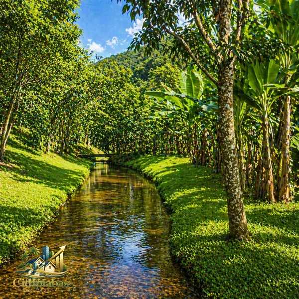 🌿 Mini Chácara à Venda em Ipiabas – Seu Refúgio com Lagos e Natureza Viva: 15ª foto da galeria de imagens do imóvel