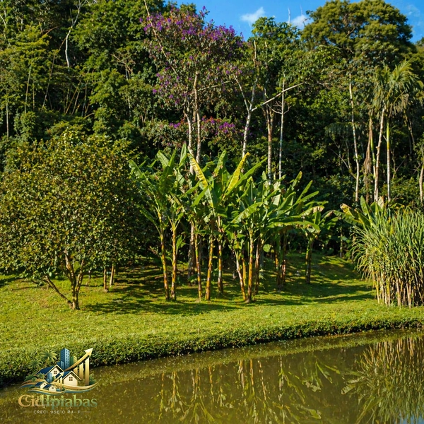 🌿 Mini Chácara à Venda em Ipiabas – Seu Refúgio com Lagos e Natureza Viva: 16ª foto da galeria de imagens do imóvel