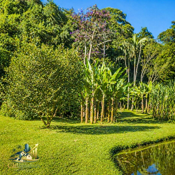 🌿 Mini Chácara à Venda em Ipiabas – Seu Refúgio com Lagos e Natureza Viva: 23ª foto da galeria de imagens do imóvel