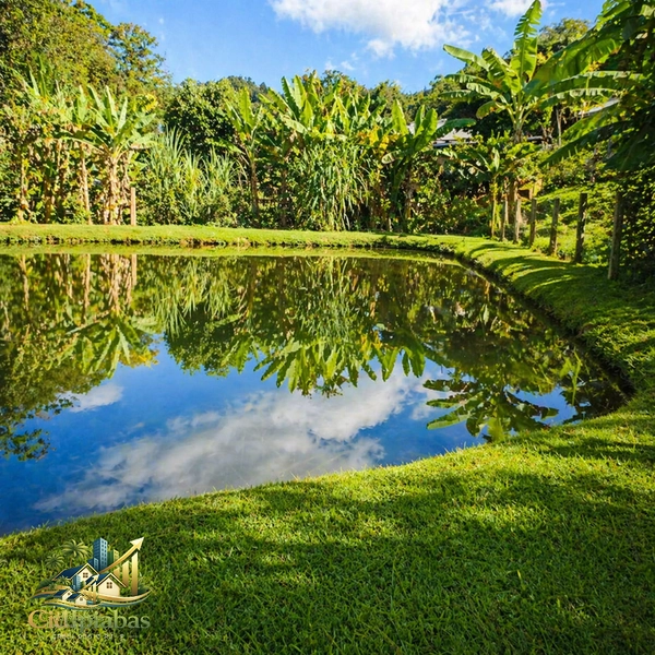 🌿 Mini Chácara à Venda em Ipiabas – Seu Refúgio com Lagos e Natureza Viva: 24ª foto da galeria de imagens do imóvel