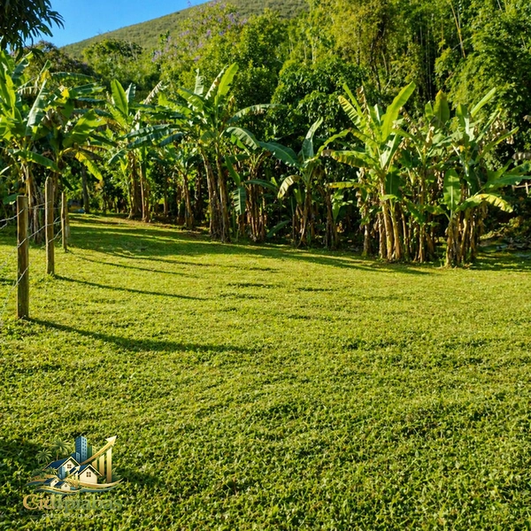 🌿 Mini Chácara à Venda em Ipiabas – Seu Refúgio com Lagos e Natureza Viva: 25ª foto da galeria de imagens do imóvel