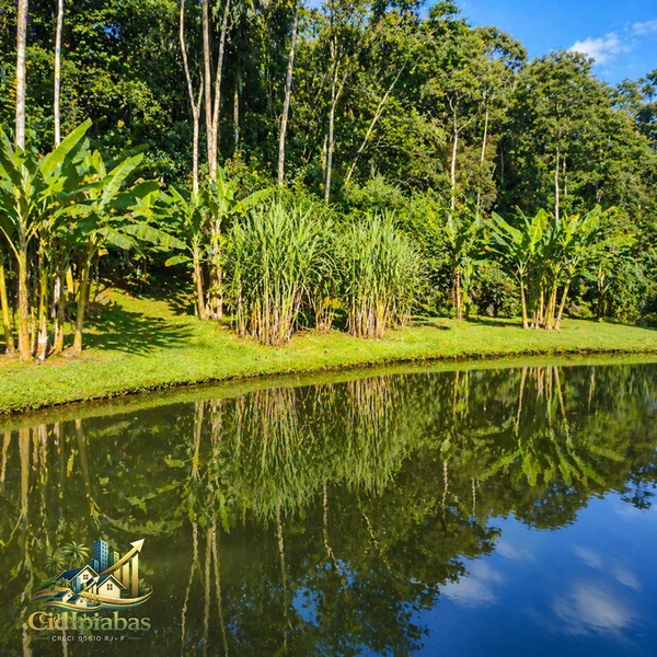 🌿 Mini Chácara à Venda em Ipiabas – Seu Refúgio com Lagos e Natureza Viva: 18ª foto da galeria de imagens do imóvel