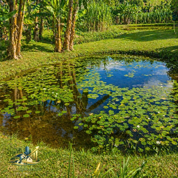 🌿 Mini Chácara à Venda em Ipiabas – Seu Refúgio com Lagos e Natureza Viva: 20ª foto da galeria de imagens do imóvel