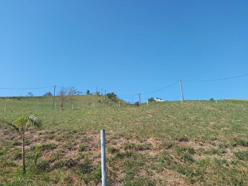 🌱 Terreno a venda em ipiabas, com 1529 m2.: 7ª foto da galeria de imagens do imóvel
