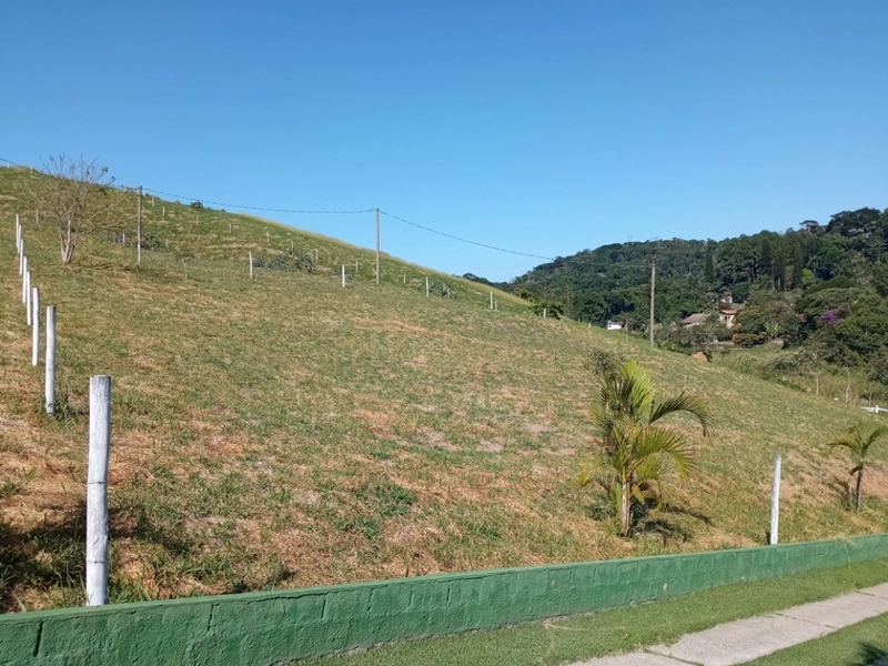 🌱 Terreno a venda em ipiabas, com 1529 m2.: 4ª foto da galeria de imagens do imóvel