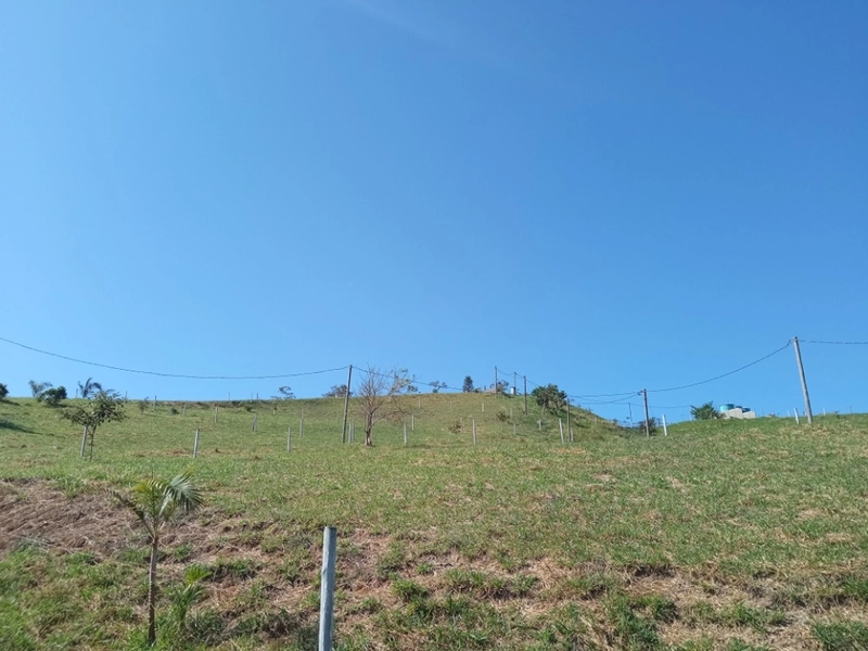 🌱 Terreno a venda em ipiabas, com 1529 m2.: 5ª foto da galeria de imagens do imóvel