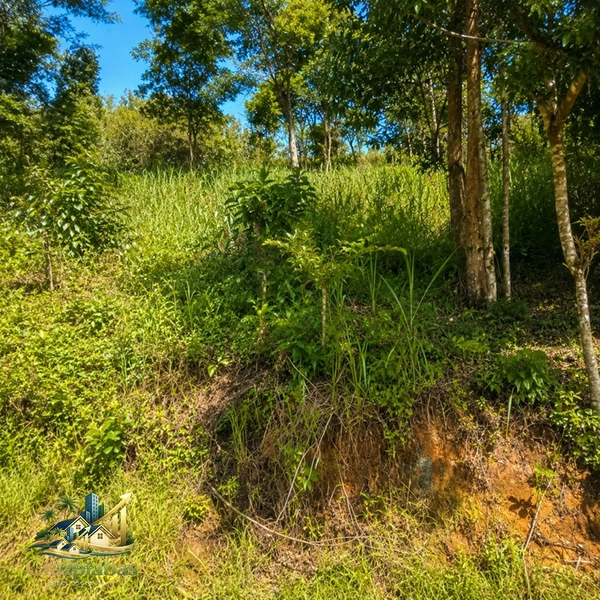 Um terreno para quem deseja mais espaço, mais tranquilidade e mais qualidade de vida.: 5ª foto da galeria de imagens do imóvel