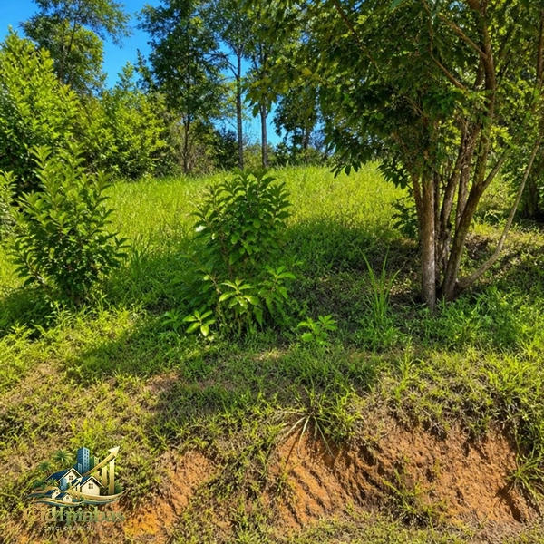 Um terreno para quem deseja mais espaço, mais tranquilidade e mais qualidade de vida.: 2ª foto da galeria de imagens do imóvel