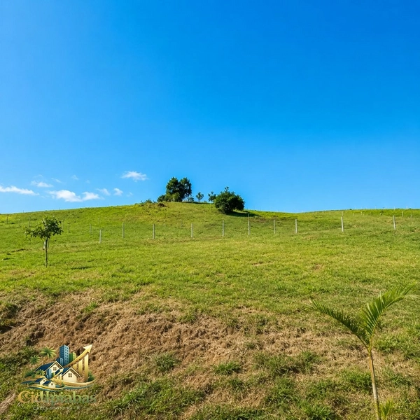 🌿 Algumas oportunidades aparecem apenas uma vez Ipiabas - Barra Do Piraí: 4ª foto da galeria de imagens do imóvel
