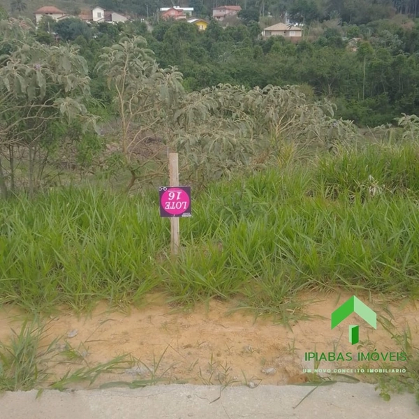 🌱 Terreno a venda em Ipiabas, com 600 m2.: 6ª foto da galeria de imagens do imóvel