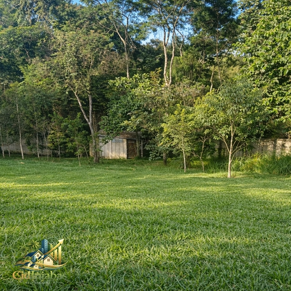 🌄 Terreno à Venda no Centro de Ipiabas – 600m²  Localização Privilegiada  : 3ª foto da galeria de imagens do imóvel