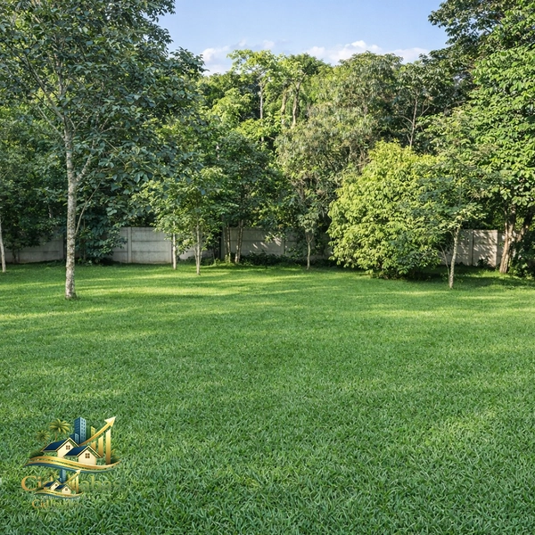 🌄 Terreno à Venda no Centro de Ipiabas – 600m²  Localização Privilegiada  : 7ª foto da galeria de imagens do imóvel