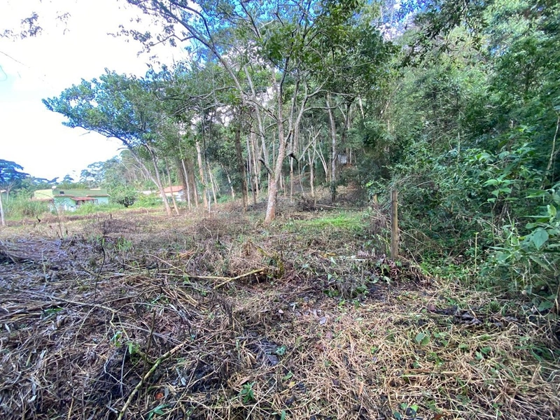 🌱 Terreno em Ipiabas, com 808 m²: 2ª foto da galeria de imagens do imóvel