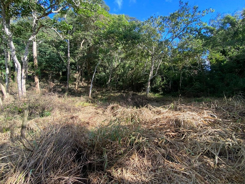 🌱 Terreno em Ipiabas, com 808 m²: 3ª foto da galeria de imagens do imóvel