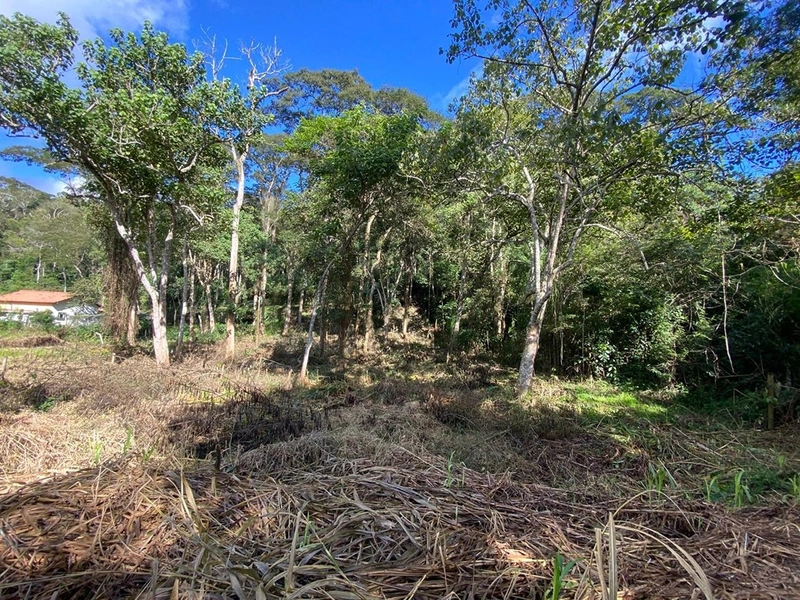 🌱 Terreno em Ipiabas, com 808 m²: 6ª foto da galeria de imagens do imóvel