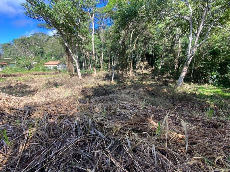 🌱 Terreno em Ipiabas, com 808 m²: 5ª foto da galeria de imagens do imóvel