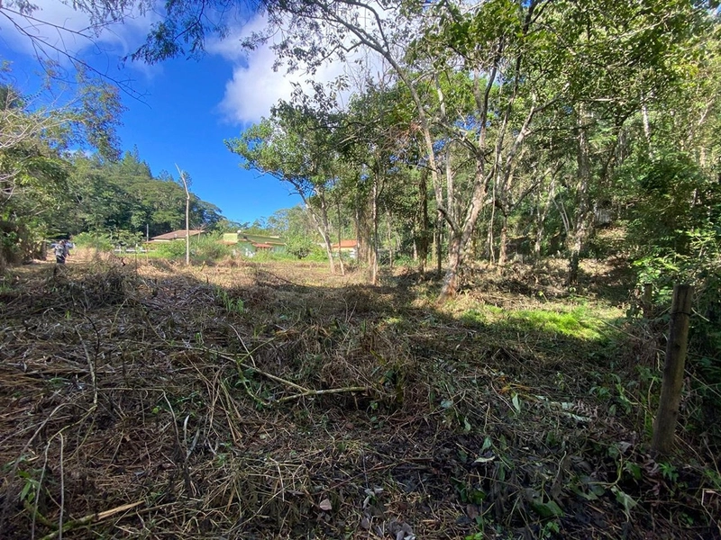 🌱 Terreno em Ipiabas, com 808 m²: 8ª foto da galeria de imagens do imóvel