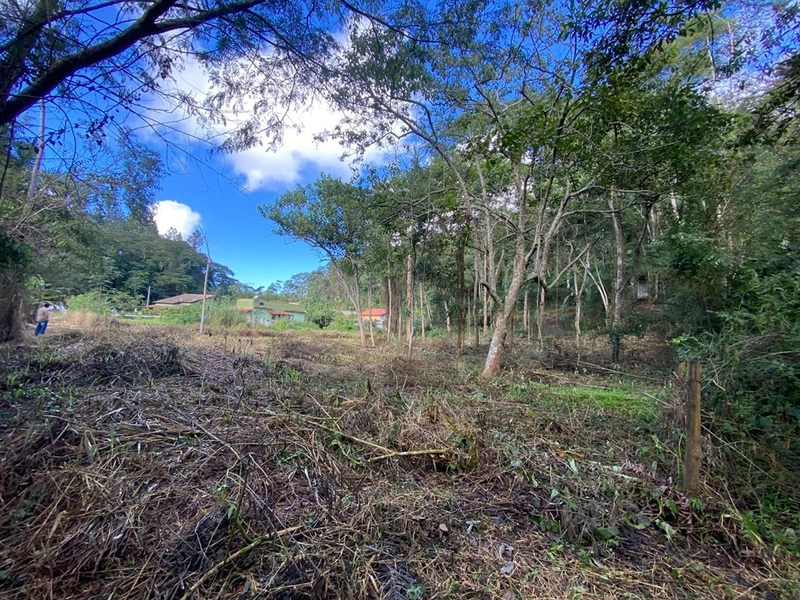 🌱 Terreno em Ipiabas, com 808 m²: 10ª foto da galeria de imagens do imóvel