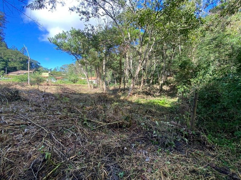 🌱 Terreno em Ipiabas, com 808 m²: 7ª foto da galeria de imagens do imóvel