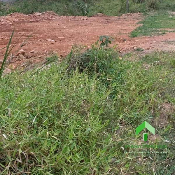 🌱 Terreno a venda em Ipiabas, com 9546 m².: 2ª foto da galeria de imagens do imóvel