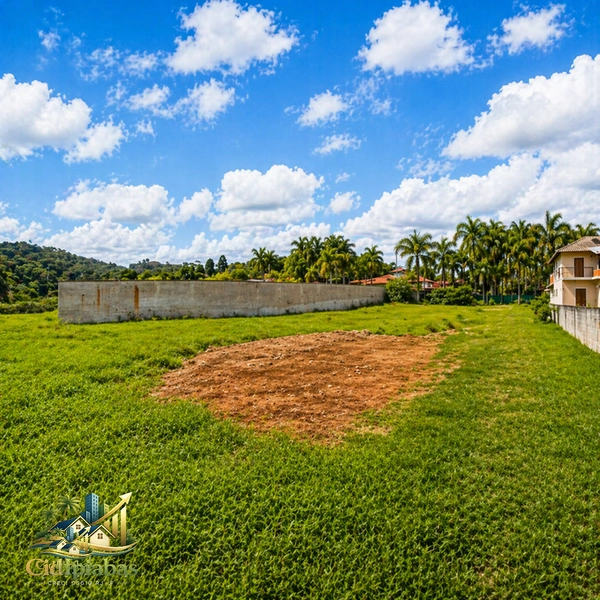 Terreno a venda no centro de Ipiabas com 9.546m²: 4ª foto da galeria de imagens do imóvel