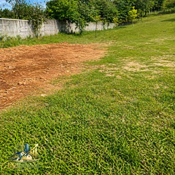 Terreno a venda no centro de Ipiabas com 9.546m²: 6ª foto da galeria de imagens do imóvel