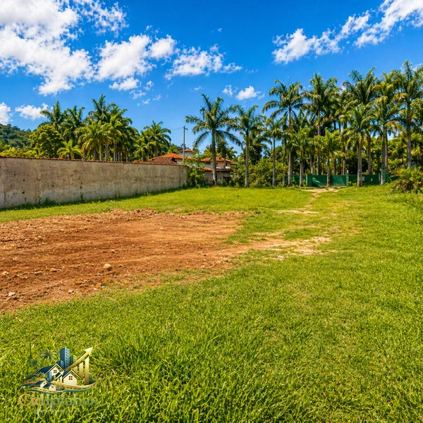 Terreno a venda no centro de Ipiabas com 9.546m²: 1ª foto da galeria de imagens do imóvel