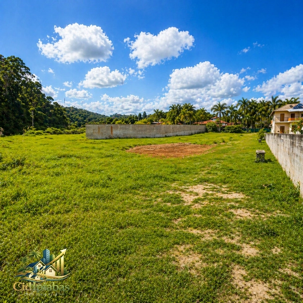 Terreno a venda no centro de Ipiabas com 9.546m²: 3ª foto da galeria de imagens do imóvel