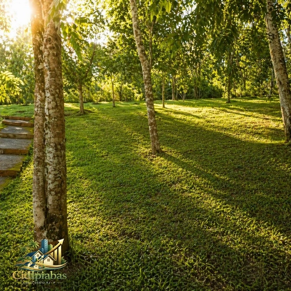 🏡 Chácara à Venda em Ipiabas – 8 Quartos, Lago, Piscina e Estrutura Completa: 33ª foto da galeria de imagens do imóvel