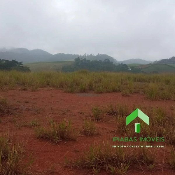 🌱 Terreno em Ipiabas, com 700 m2: 37ª foto da galeria de imagens do imóvel
