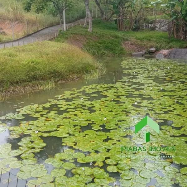 🌱 Terreno em Ipiabas, com 700 m2: 4ª foto da galeria de imagens do imóvel