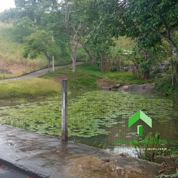 🌱 Terreno em Ipiabas, com 700 m2: 5ª foto da galeria de imagens do imóvel