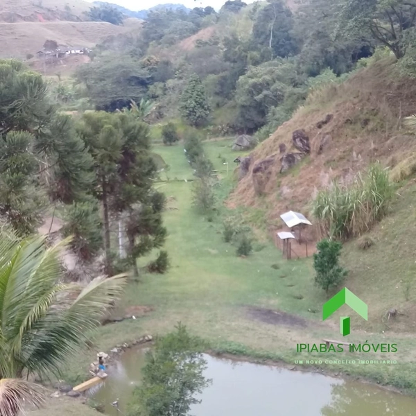 🌱 Sitio a venda em Ipiabas, Sede com 4 Quartos, 2 Suites, Piscina e Área Gourmet com 20.000 m2.: 33ª foto da galeria de imagens do imóvel