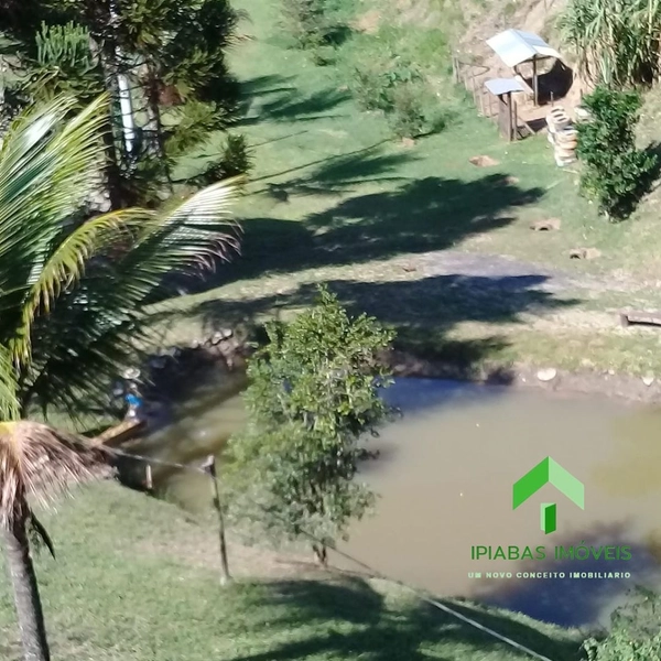 🌱 Sitio a venda em Ipiabas, Sede com 4 Quartos, 2 Suites, Piscina e Área Gourmet com 20.000 m2.: 32ª foto da galeria de imagens do imóvel