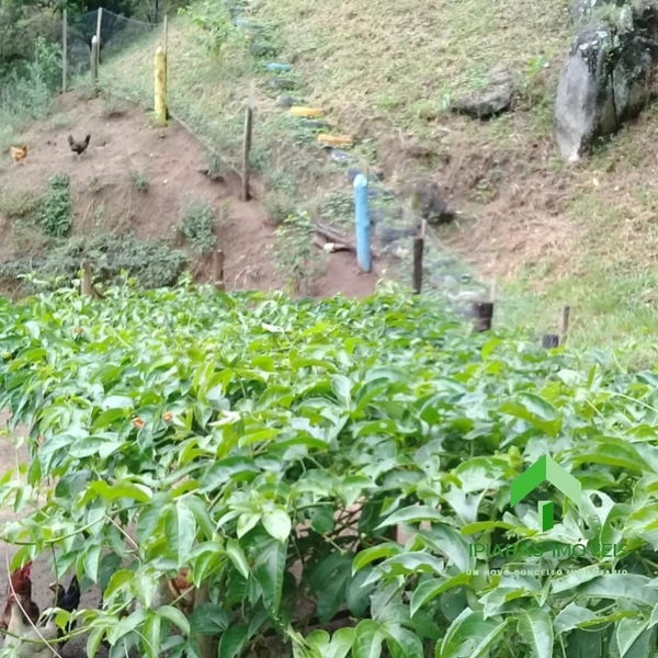 🌱 Sitio a venda em Ipiabas, Sede com 4 Quartos, 2 Suites, Piscina e Área Gourmet com 20.000 m2.: 39ª foto da galeria de imagens do imóvel