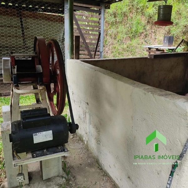 🌱 Sitio a venda em Ipiabas, Sede com 4 Quartos, 2 Suites, Piscina e Área Gourmet com 20.000 m2.: 34ª foto da galeria de imagens do imóvel