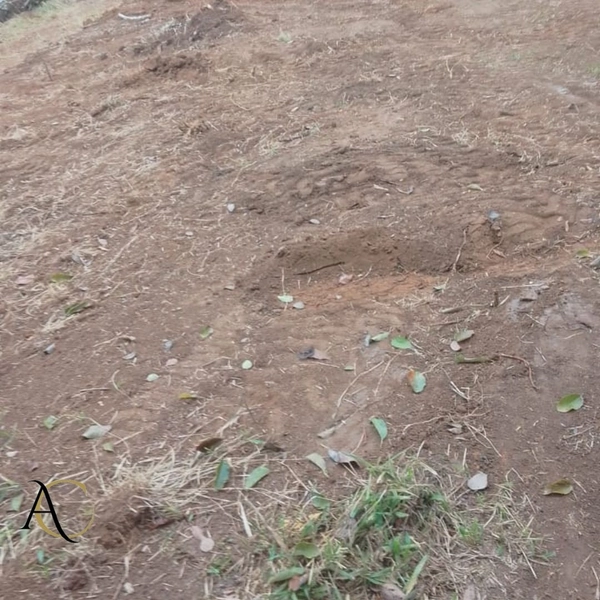 🌱 Terreno à venda em Ipiabas com 1.957 m²: 6ª foto da galeria de imagens do imóvel
