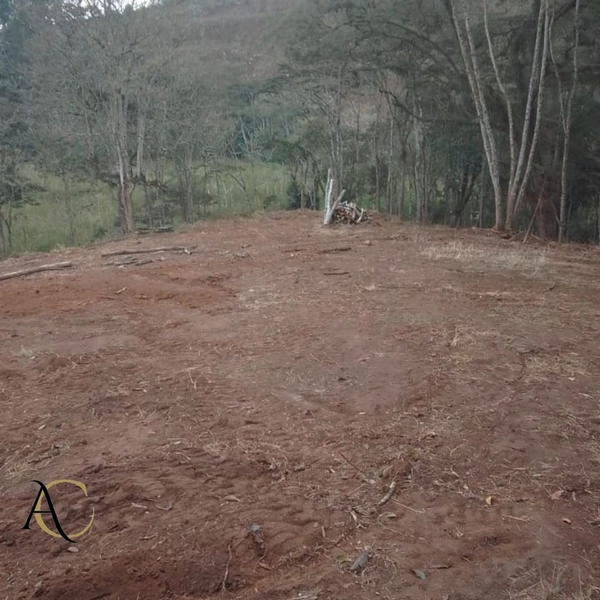 🌱 Terreno à venda em Ipiabas com 1.957 m²: 2ª foto da galeria de imagens do imóvel