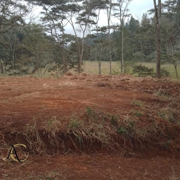 🌱 Terreno à venda em Ipiabas com 1.957 m²: 5ª foto da galeria de imagens do imóvel
